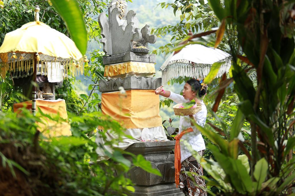 Sang Giri Mountain Tent Resort Jatiluwih Exterior foto